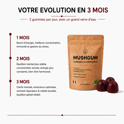 Gummies Champignon Premium – 10 Champignons Fonctionnels – 60 Gummies
