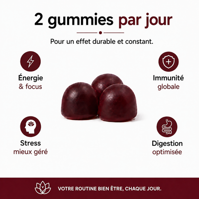Gummies Champignon Premium – 10 Champignons Fonctionnels – 60 Gummies