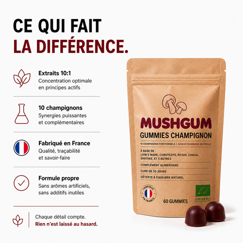 Gummies Champignon Premium – 10 Champignons Fonctionnels – 60 Gummies