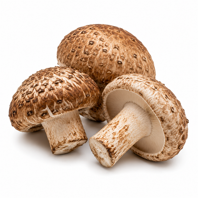 Shiitake