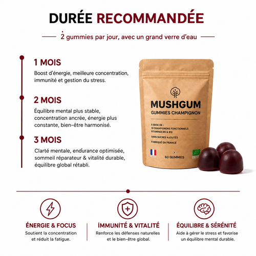Gummies Champignon Premium – 10 Champignons Fonctionnels – 60 Gummies