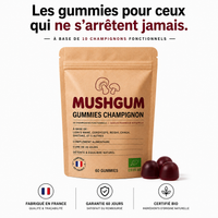 Gummies Champignon Premium – 10 Champignons Fonctionnels – 60 Gummies