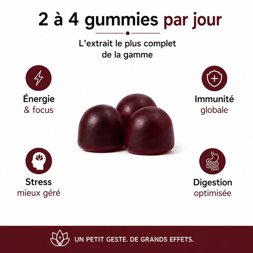 Gummies Champignon Premium – 10 Champignons Fonctionnels – 60 Gummies
